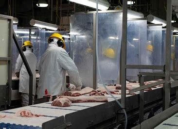 加拿大企业停止对华猪肉出口