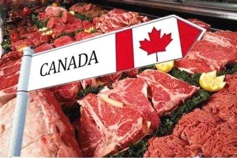 加拿大停止对华猪肉出口