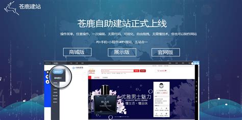 北京免费建站网络营销