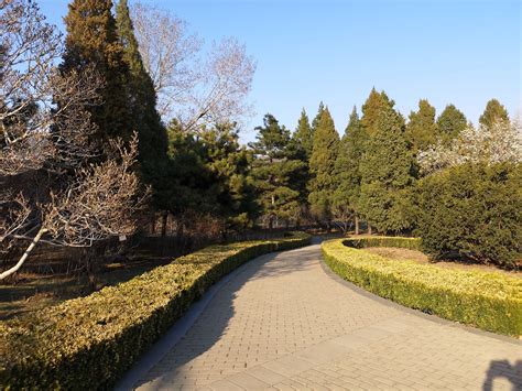 北京植物园怎么走