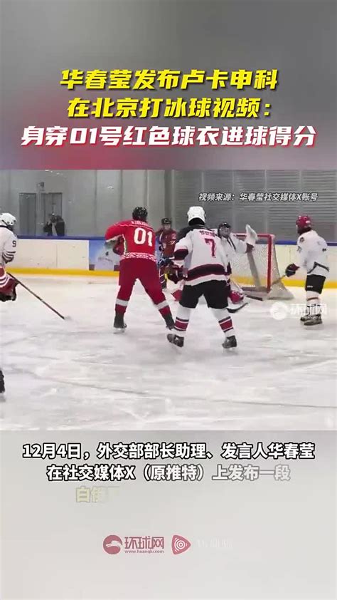 华春莹发布卢卡申科打冰球视频