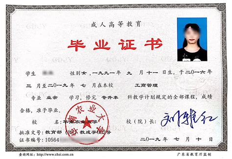 南京外国毕业证模板