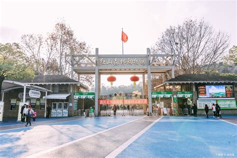 南京红山动物园
