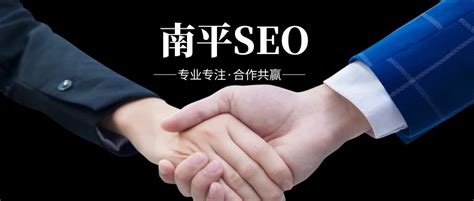 南平网站搜索优化公司