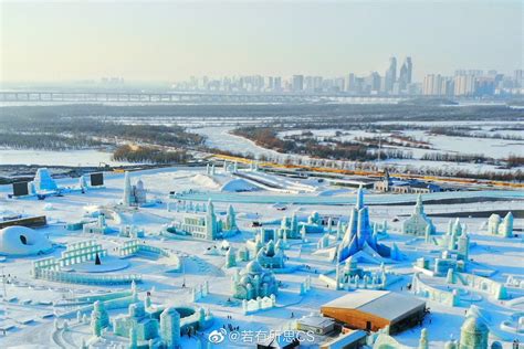 哈尔滨seo冰城