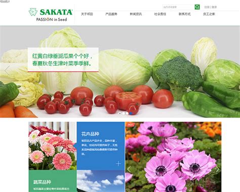 坂田企业网站改版公司