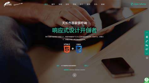 天长网络推广网站营销公司