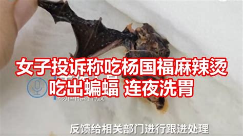 女子投诉杨国福麻辣烫吃出蝙蝠