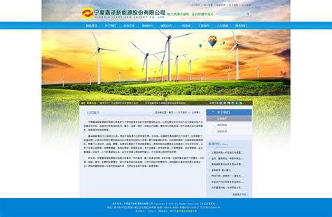 宁夏网站建设优化公司