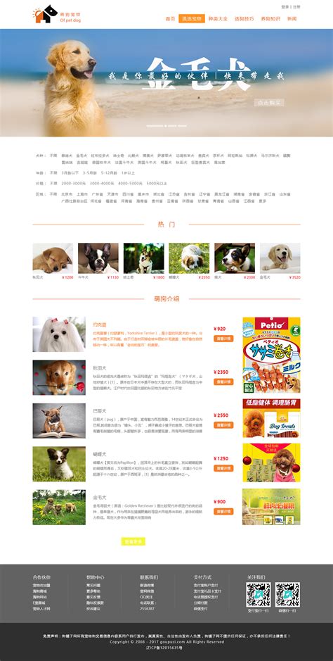 宠物网站推广策划书