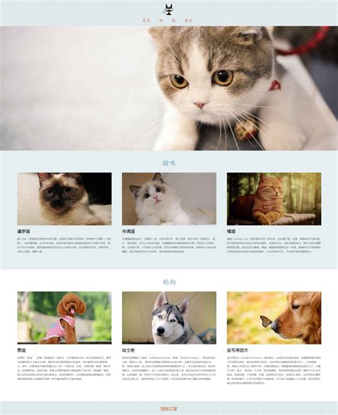 宠物网站设计案例