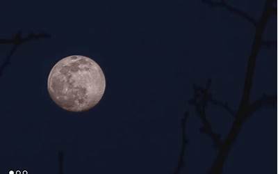 小米手机怎么拍月亮更清晰,小米手机轻松捕捉清晰月亮，拍出完美夜景