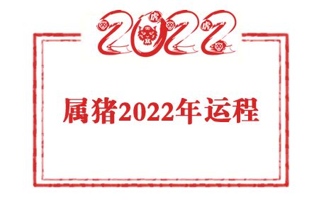 属猪人2022年全年运势及运程