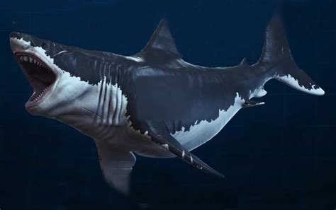 巨牙鲨