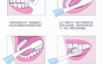 巴氏刷牙法/正确的刷牙方法(巴氏刷牙法详解)