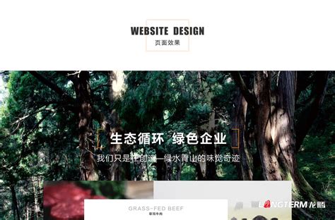广元品牌网站设计