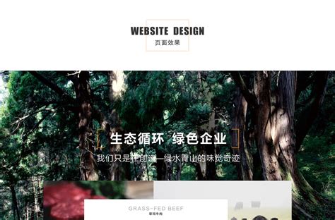 广元品牌网站设计公司