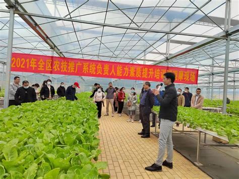 广西农业技术推广站官方网站