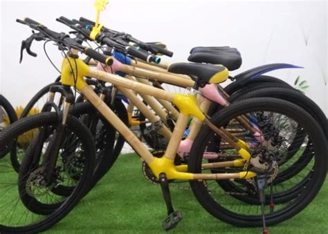 广西小伙用竹子造自行车已售上万台