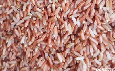 怎么有红色的大米可以吃吗？红米是不是粗粮