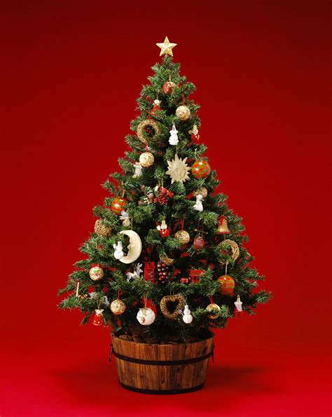 怎么装饰圣诞节的树
