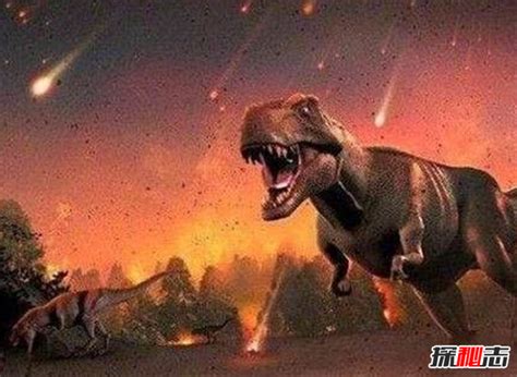 恐龙其实没有灭绝