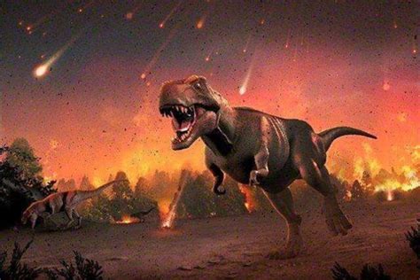 恐龙灭绝后