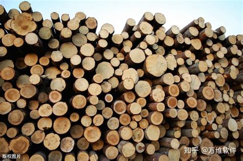 木材行业网站推广方案