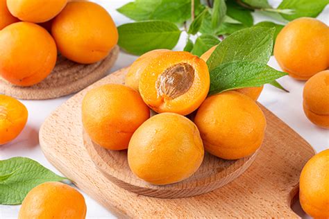 杏子吃多了对身体有什么影响