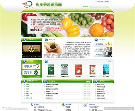 枣庄品牌网站设计多少钱