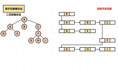 树状结构和seo的区别