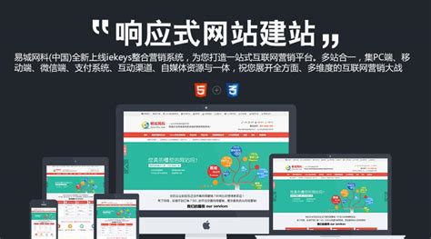 武汉平台网站建设