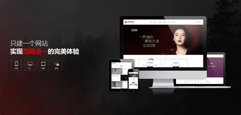 武汉网站优化公司微官网