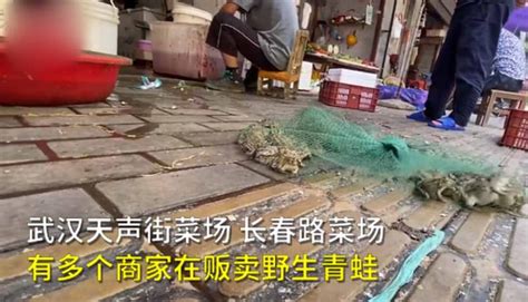 武汉菜场商户明目张胆卖野生青蛙