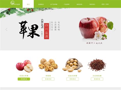 永宁农产品网站优化