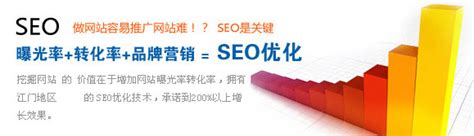 江门seo网站优化服务