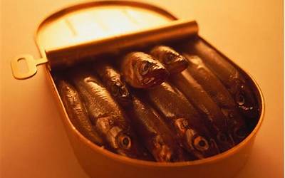 沙丁鱼罐头是指什么生肖的动物（沙丁鱼罐头代表什么生肖）