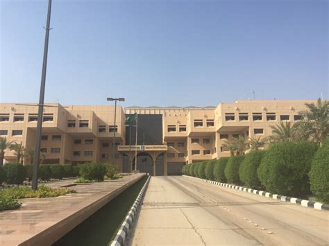 沙特国王大学