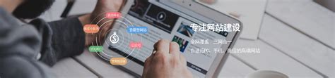 沧州企业网站排名优化多少钱