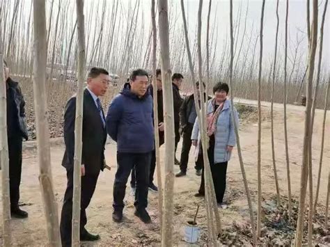 河南省林业技术推广站网站