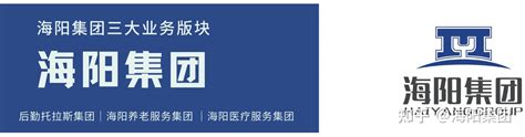 海阳集团网站优化公司