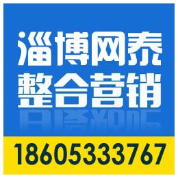淄川网站推广服务