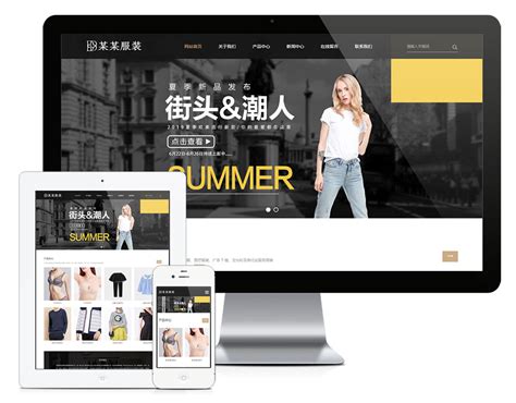 深圳低价服装行业网站优化