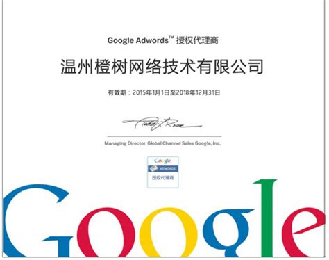 温州谷歌网站推广