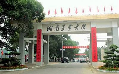 湖南农业大学国际学院是几本（湖南农业大学国际学院是几本院校）