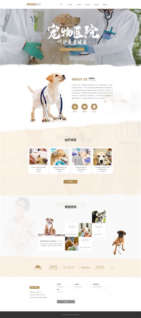 潍坊宠物网站建设优化优质服务