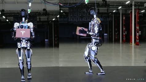 特斯拉机器人最快3年内量产