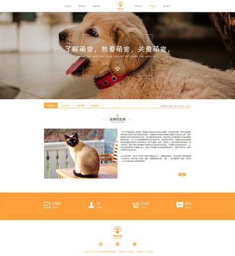 狗狗之家网页设计