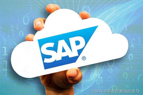 SAP系统在企业内部控制方面有哪些独到之处？