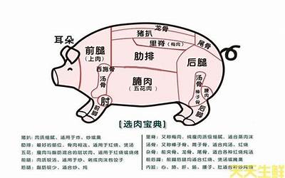 猪头猪脑是指什么生肖的动物（猪头猪脑是什么生肖?）